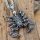 Skorpion Anhänger und Kette aus Edelstahl - 60 cm