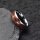 Yggdrasil Ring – Symbol des Weltenbaums aus Wolfram und Holz (8mm)