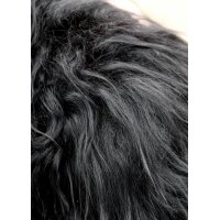 Children’s Shoulder Fur, Nordland Sheep, Black