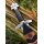 Sword of Baldur, Windlass