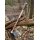 Cast Viking Axe Type M with Engraving