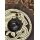 Viking Round Shield “ORMR” – Hand-Painted Beast Motif
