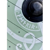 Viking Round Shield “FENRIS” – with Fenris Wolf and Runes
