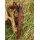 Sword Scabbard “ASKEL” – with Leather Belt and Bronze Buckle