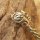 Keltisces Wildschwein "MOCCUS" Armreif aus Bronze - Ø 7,1 cm