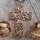Kreuz Anhänger, verziert mit der Midgardschlange, aus Bronze