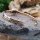 Elben Armreif "ARWEN" aus Bronze mit stein aus Onyx