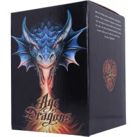 Anne Stokes Age of Dragons Adult Silver Dragon Figurine