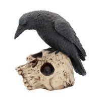 Ravens Remains - 13 cm