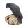Ravens Remains - 13 cm