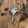 Edelstahl Wikinger Halskette Rabenschädel Anhänger verziert mit dem Helm of Awe - 60 cm